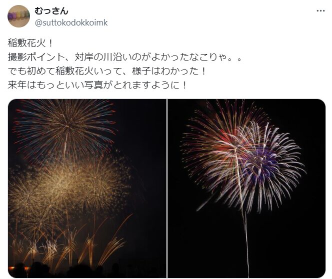 稲敷花火大会 穴場