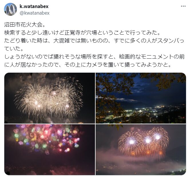 沼公園花火大会 無料 穴場スポット